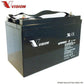 Vision 100AH 12V Deep Cycle AGM Battery (eXtra Heavy Duty 6FM100Z-X )
