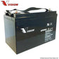 Vision 100AH 12V Deep Cycle AGM Battery (eXtra Heavy Duty 6FM100Z-X )