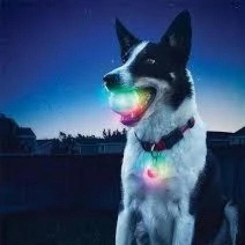 LED Pet Ball - Zalemart