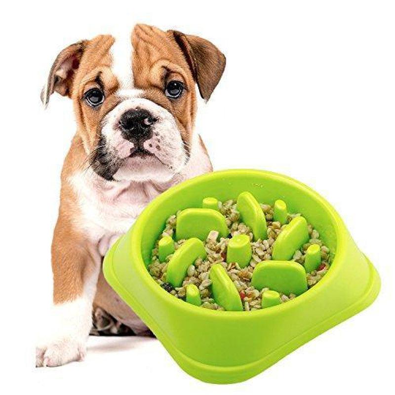 Slow Feeder Pet Bowl - Assorted Colours - Zalemart